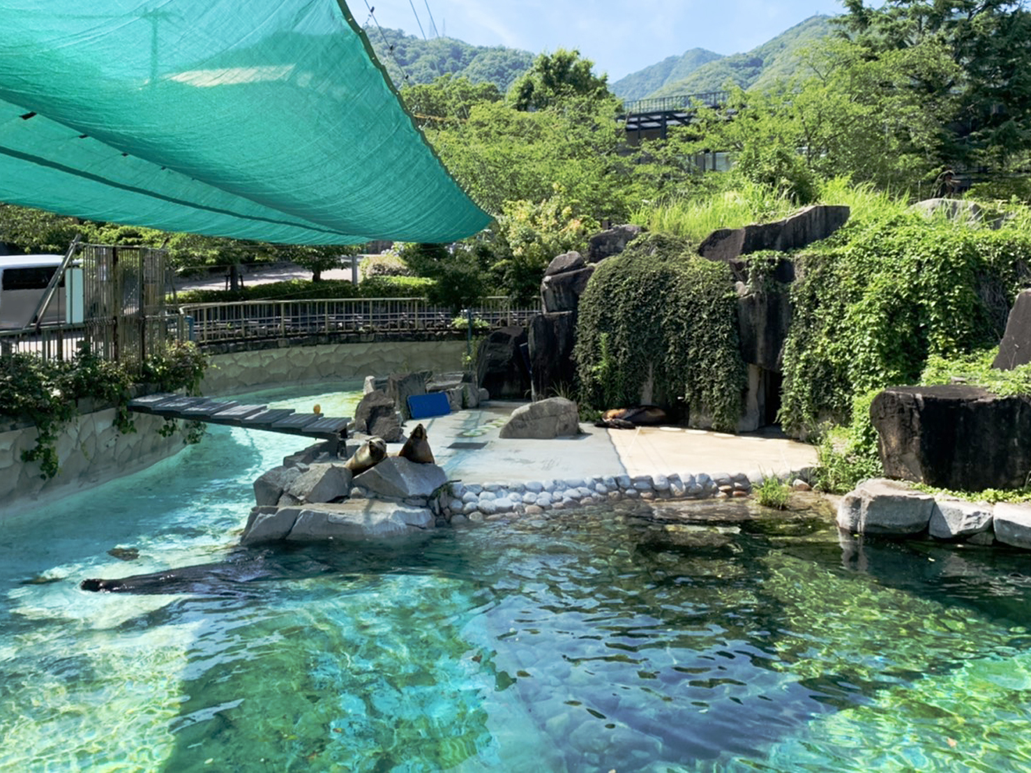 動物園　遮光ネット工事